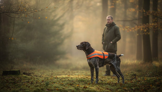 De essentiële hondenuitrusting voor de jacht: een complete gids
