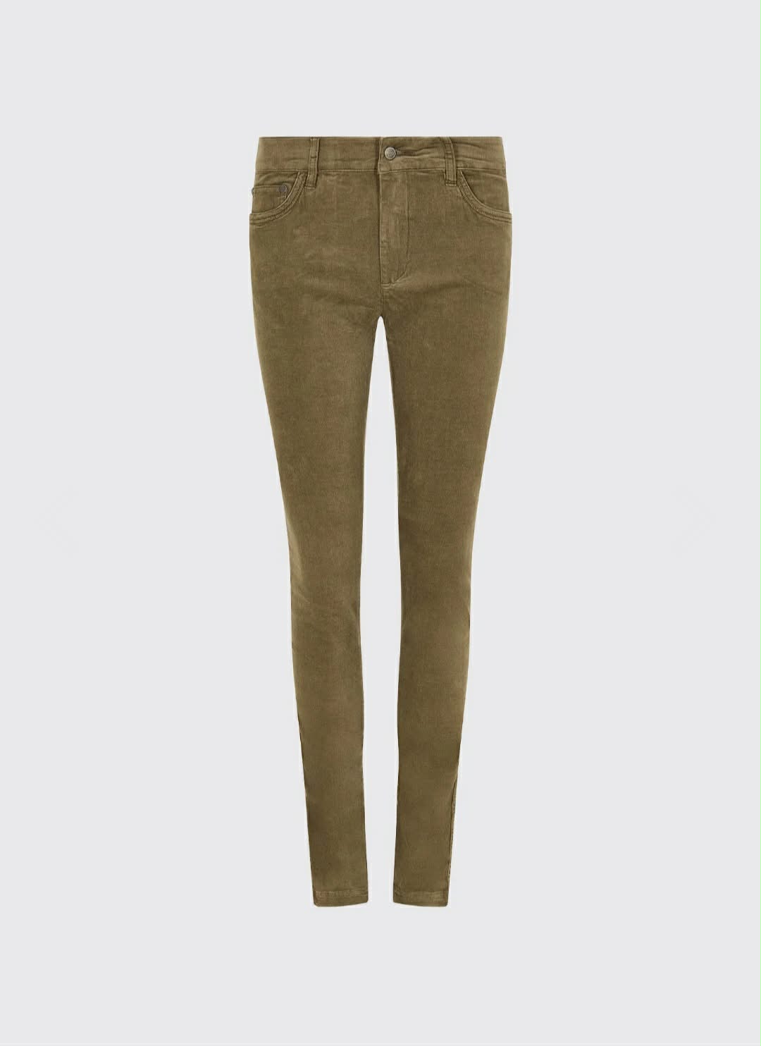 DUBARRY HONEYSUCKLE
