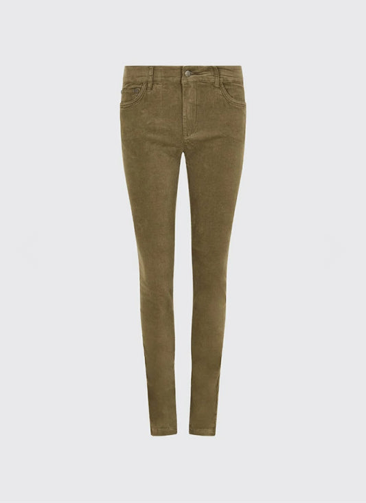 DUBARRY HONEYSUCKLE
