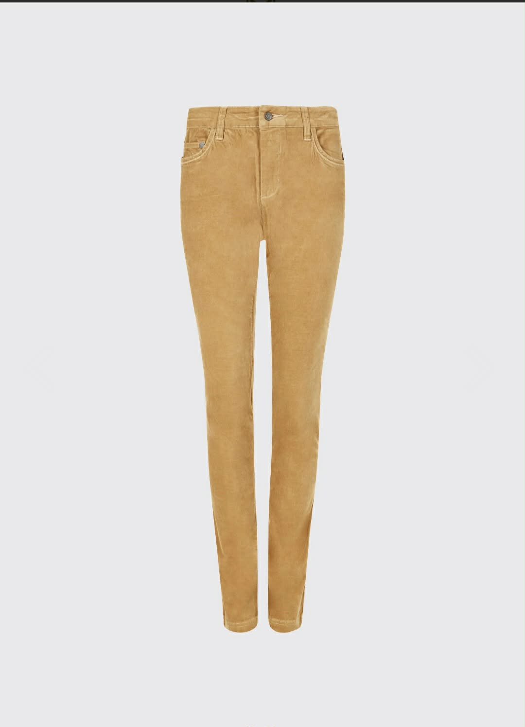 DUBARRY HONEYSUCKLE