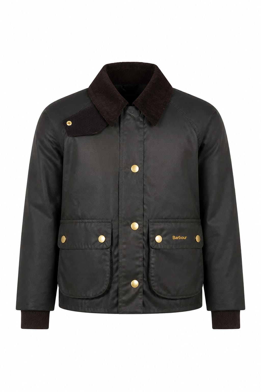 BARBOUR SHORT BEADNELL